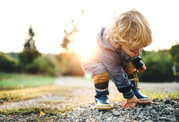 A little toddler boy bending and picking up stones in nature at sunset. Copy space.