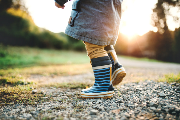 Legs of unrecognizable little toddler boy walking outdoors in nature at sunset. Rear view.