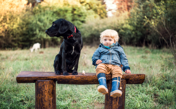 A little toddler boy and a dog standing outdoors on a road at sunset.