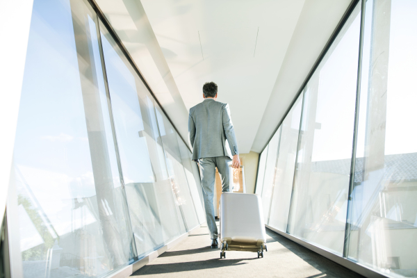 Mature businessman walking in the corridor with suitcase, travelling. Rear view.