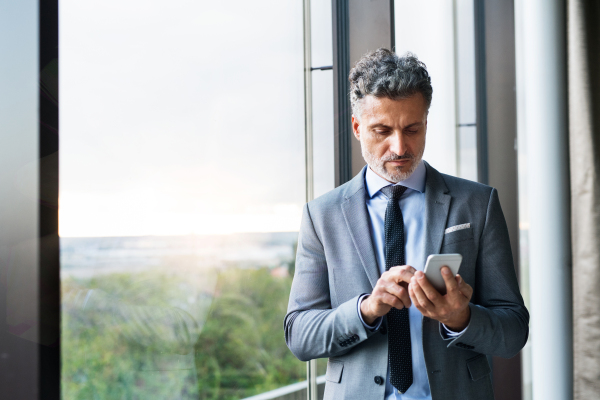 Mature businessman in a hotel with a smartphone. Man making standing at the window, texting.