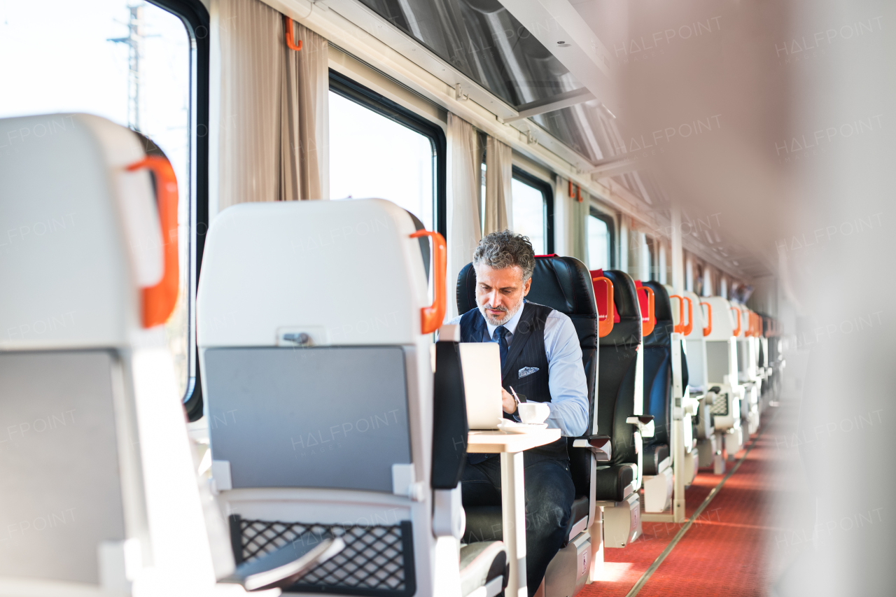 Handsome mature businessman travelling by train. A man with laptop.