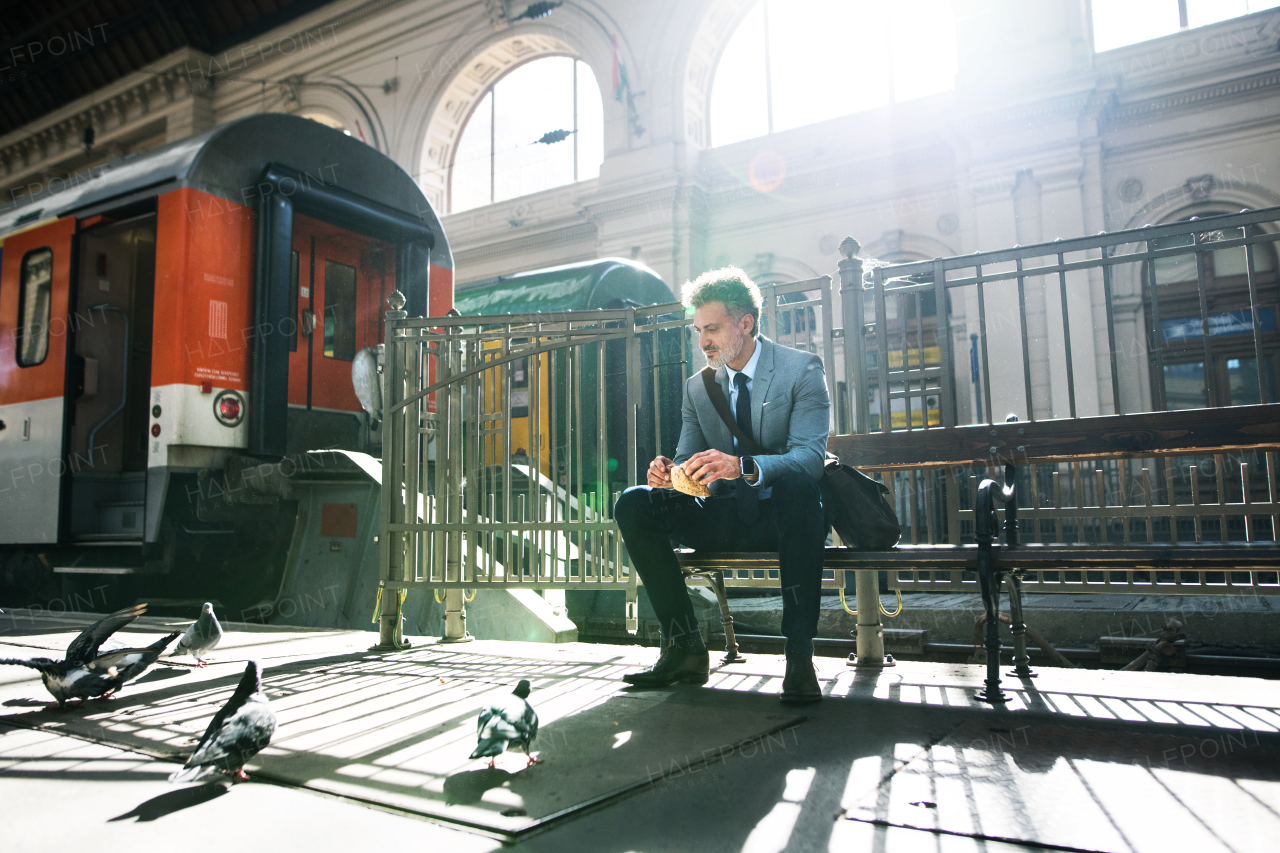 Handsome mature businessman in a city. A man waiting for the train at the railway station. A man sitting on a bench, feeding pigeons.