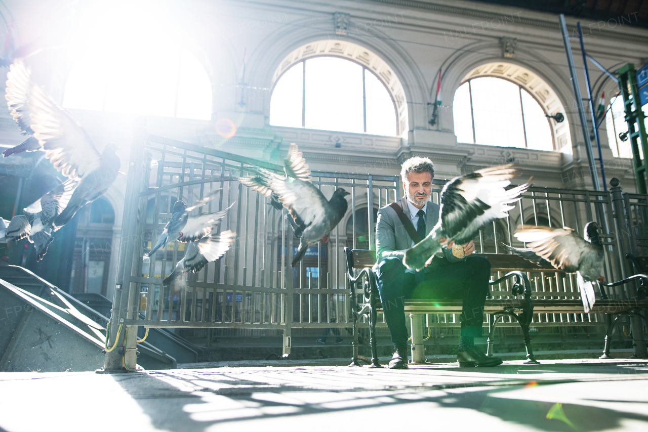 Handsome mature businessman in a city. A man waiting for the train at the railway station. A man sitting on a bench, feeding pigeons.