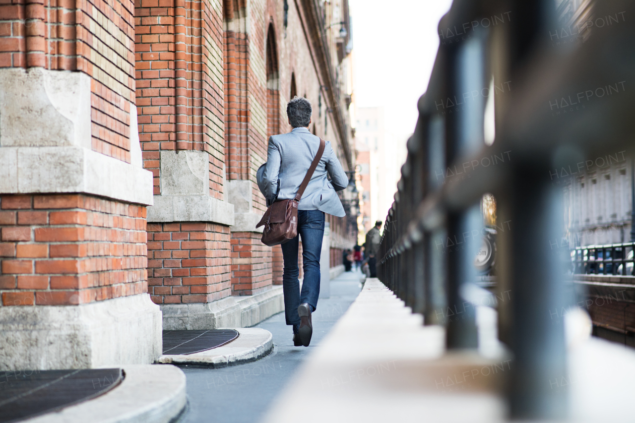 Handsome mature businessman walking in a city. Rear view.