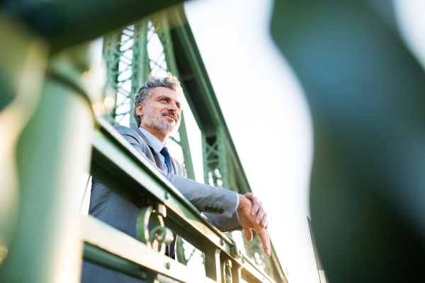 Handsome mature businessman in a city, standing on the bridge.