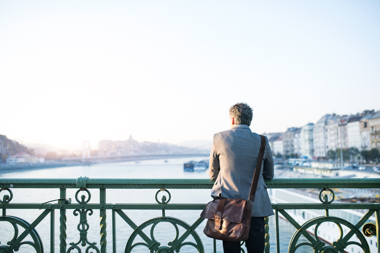 Mature businessman in a city, standing on the bridge. Rear view.