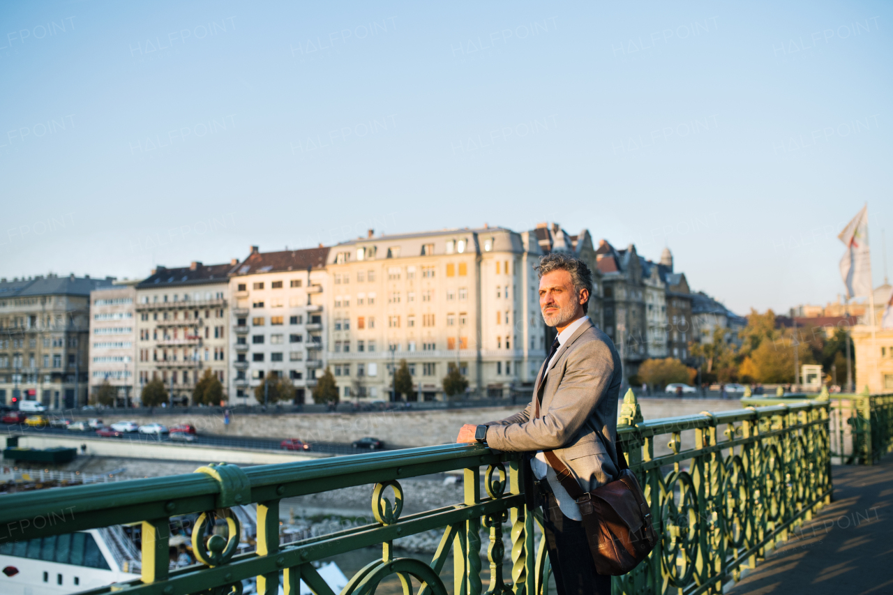 Handsome mature businessman in a city, standing on the bridge.