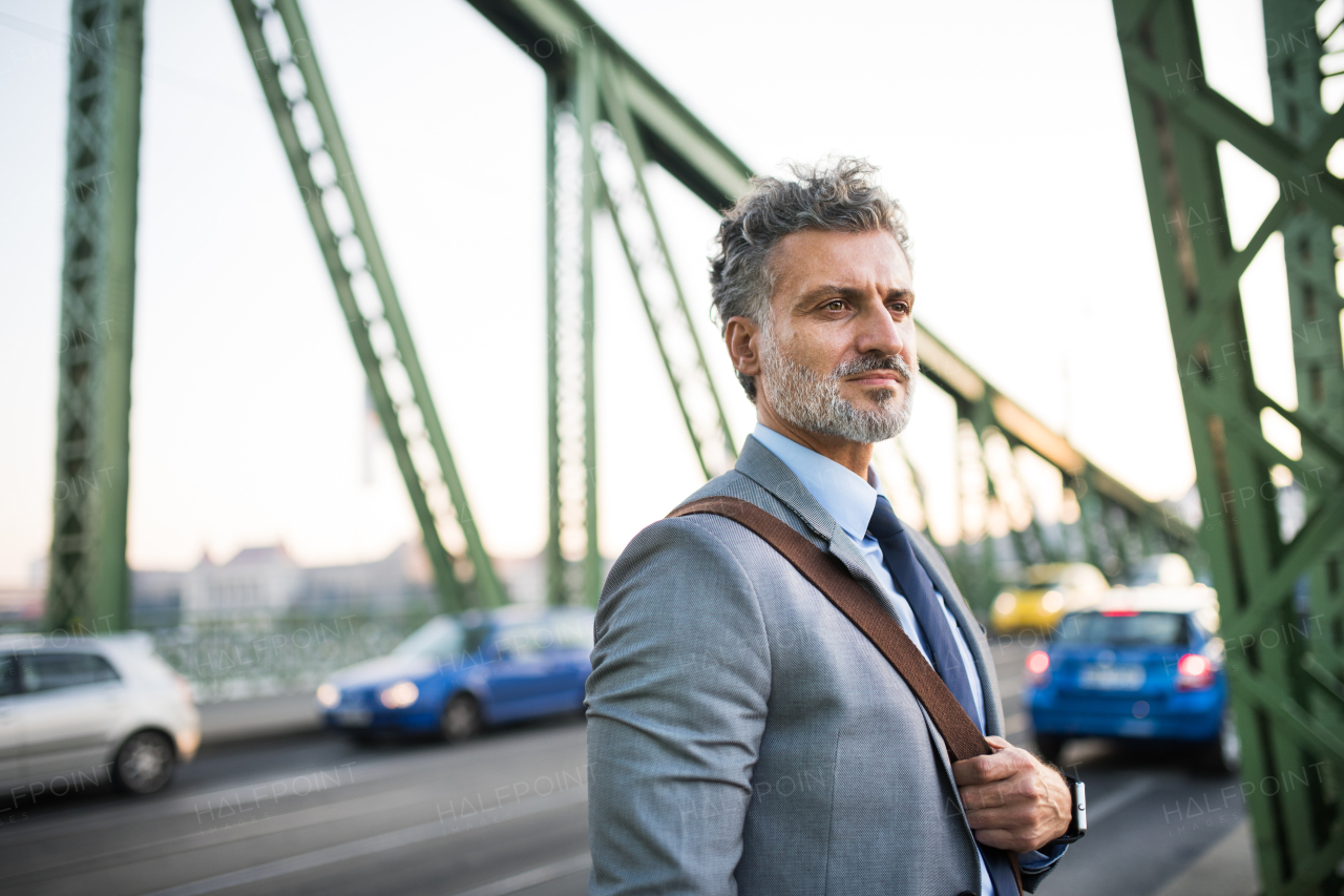 Handsome mature businessman in a city, standing on the bridge.