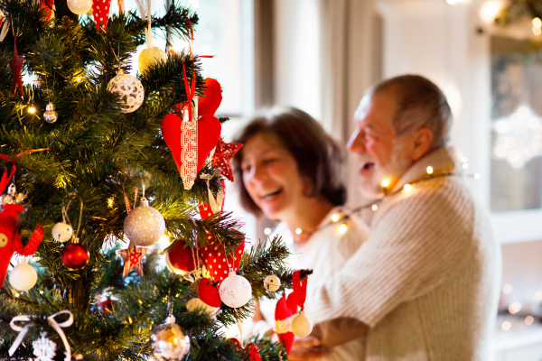 Senior couple looking at Christmas tree at home. Feeling happy.