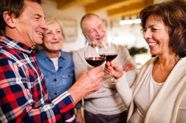 Senior friends with champagne at Christmas time, having fun.