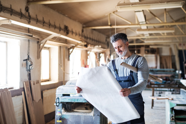 Portrait of a mature man worker in the carpentry workshop looking at paper plans.