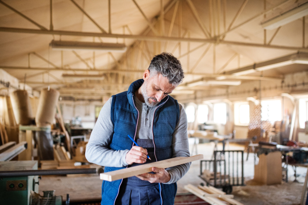 A mature man worker in the carpentry workshop, working with wood.