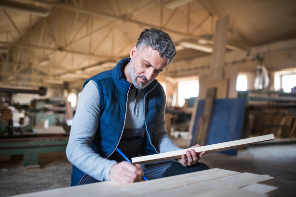 A mature man worker in the carpentry workshop, working with wood.