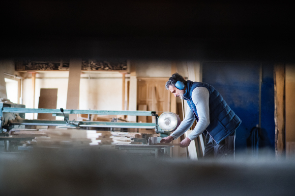 A mature man worker in the carpentry workshop, working with wood.