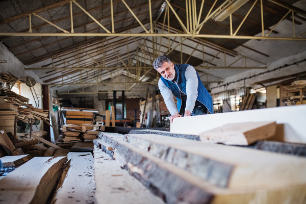 A mature man worker in the carpentry workshop, working with wood.