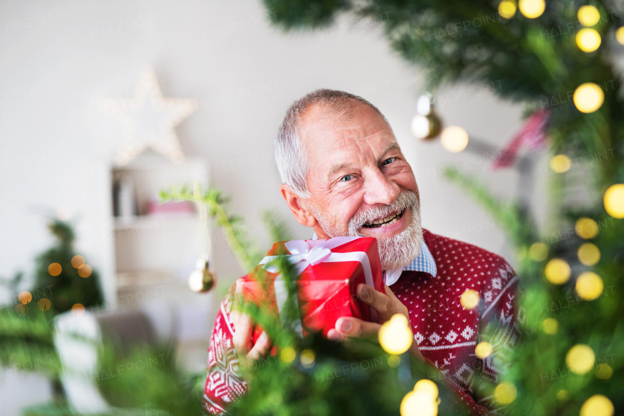 A portrait of a cheerful senior man standing by Christmas tree, holding a present in a wrapped box.