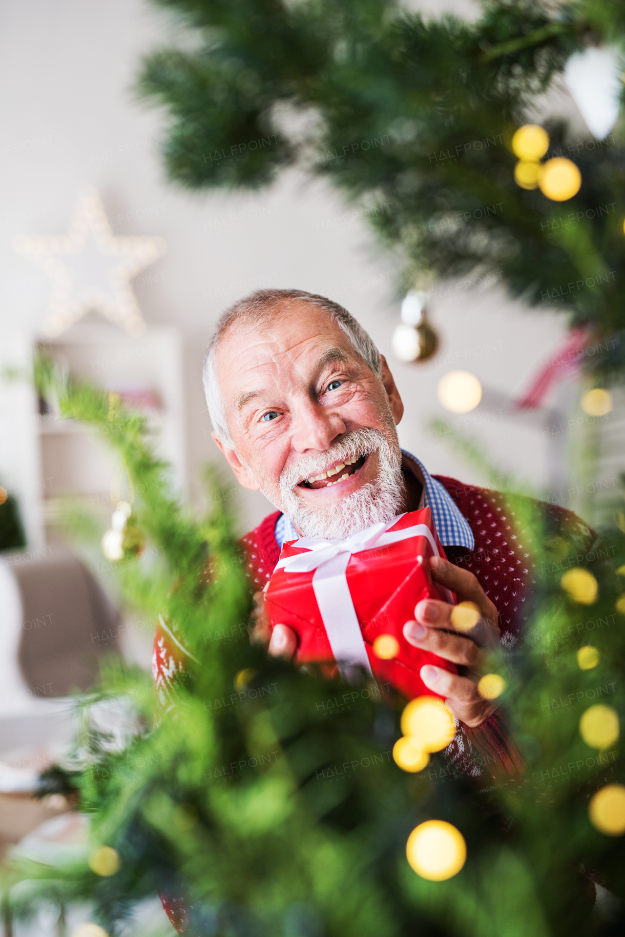 A portrait of a cheerful senior man standing by Christmas tree, holding a present in a wrapped box.