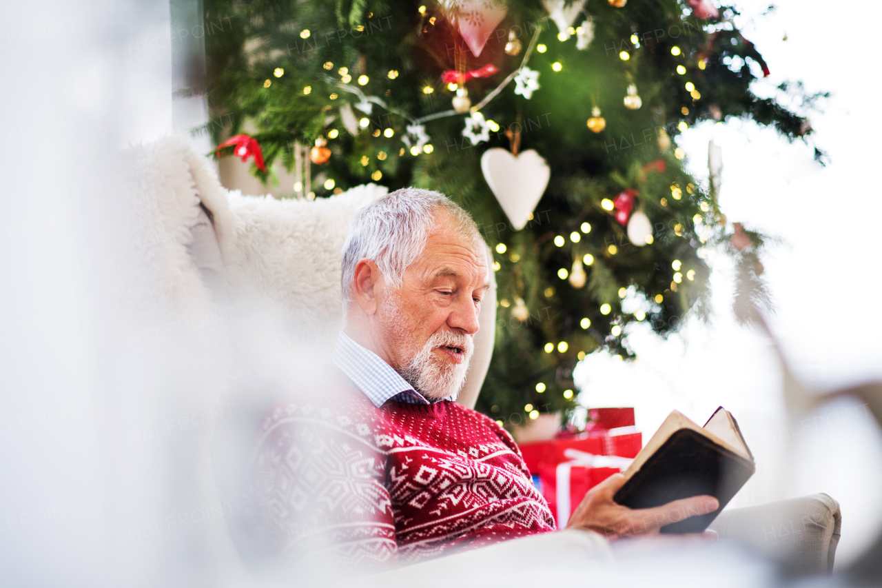 A senior man sitting on a sofa by a Christmas tree, reading a book. Festive time.