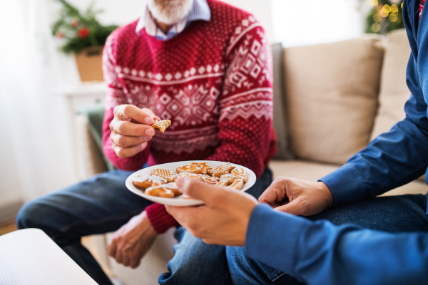 Unrecognizable senior father and adult son sitting on a sofa at home at Christmas time, eating biscuits and talking.