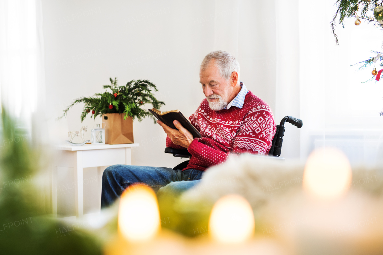 A concentrated senior man in wheelchair reading a book at home at Christmas time.