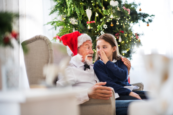 A small girl and her grandfather with Santa hat sitting on armchair at Christmas time, telling a secret.