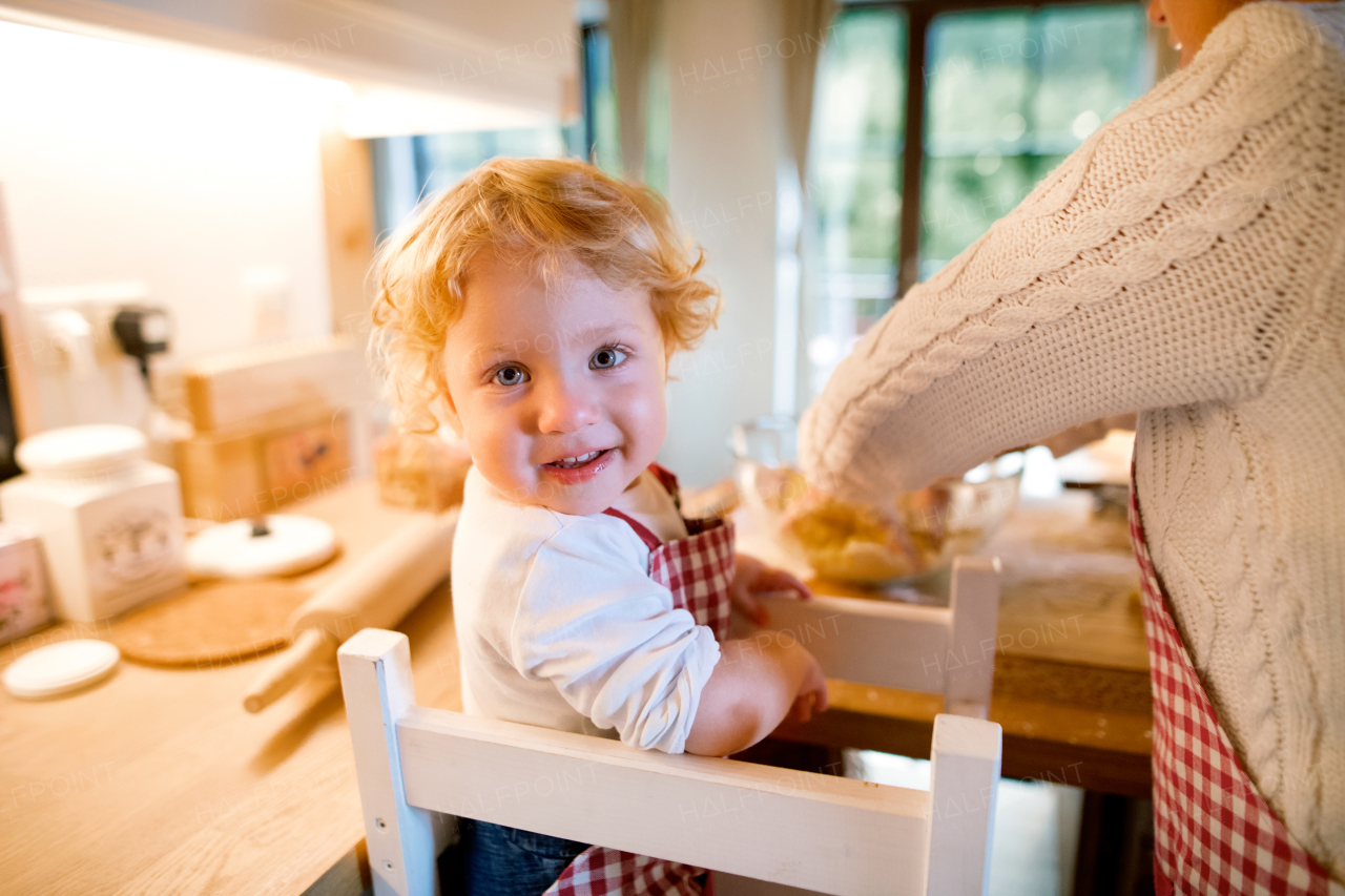 Unrecognizable woman and toddler boy making cookies at home. Mother and son baking gingerbread Christmas cookies.