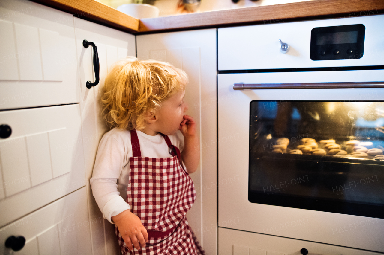 Young family making cookies at home. Toddler boy looking at cookies in the oven.