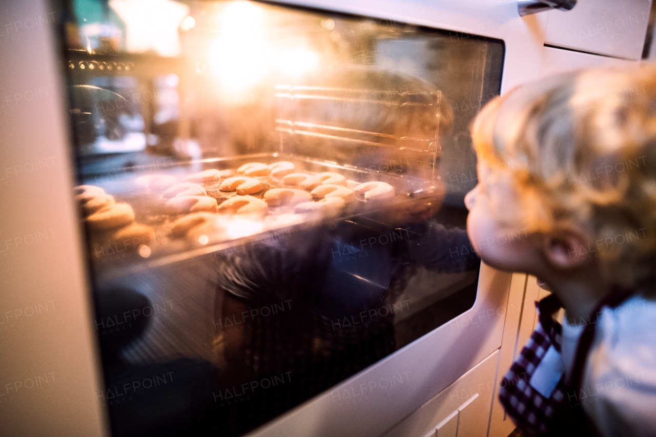 Young family making cookies at home. Unrecognizable toddler boy looking at cookies in the oven. Close up.