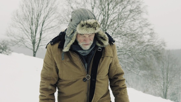 Senior man with a hand saw getting a Christmas tree in forest. Winter day.