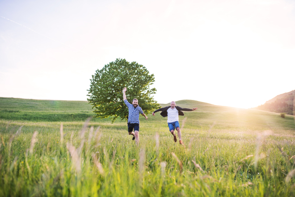 An adult hipster son with his senior father jumping on a meadow in nature at sunset.