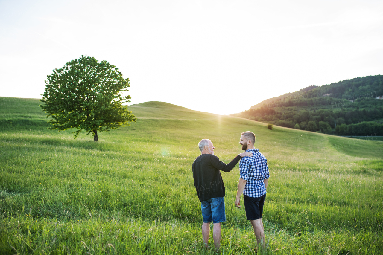 An adult hipster son with his senior father walking on a meadow in nature at sunset.