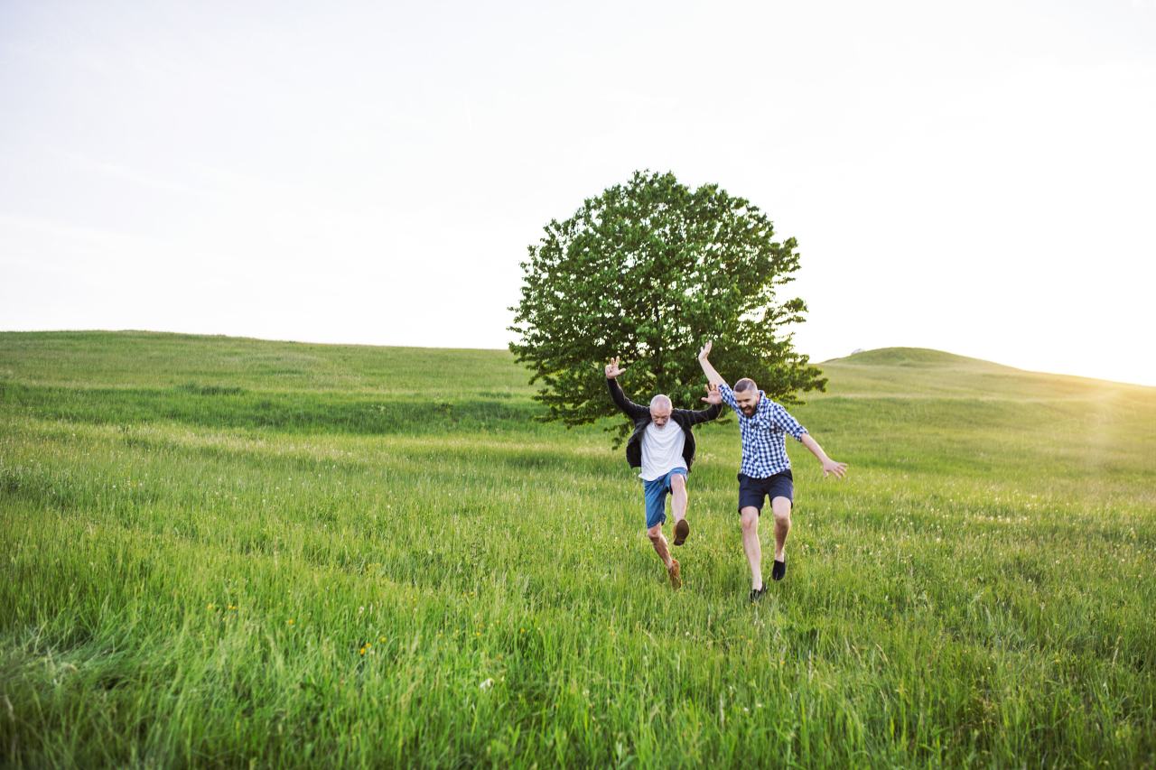 An adult hipster son with his senior father jumping on a meadow in nature at sunset.