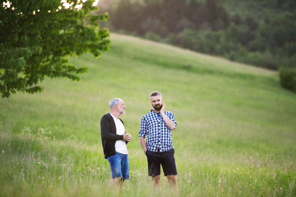 An adult hipster son with his senior father walking on a meadow in nature at sunset.