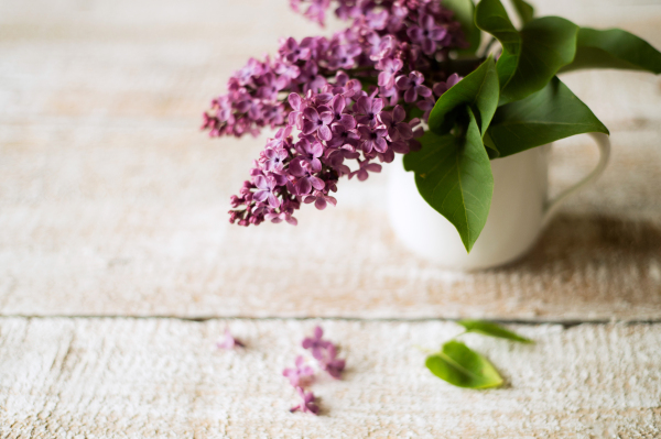 Beautiful lilac bouquet in vase laid on table. Studio shot on white wooden background.