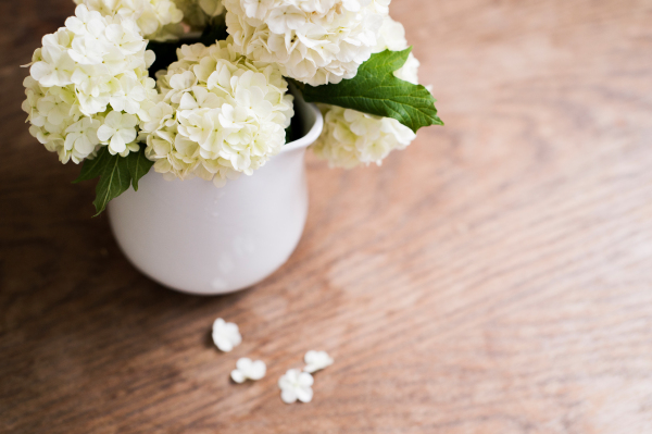 Beautiful lilac bouquet in vase laid on table. Studio shot on white wooden background. Copy space.