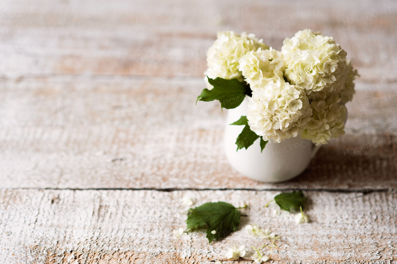 Beautiful lilac bouquet in vase laid on table. Studio shot on white wooden background. Copy space.