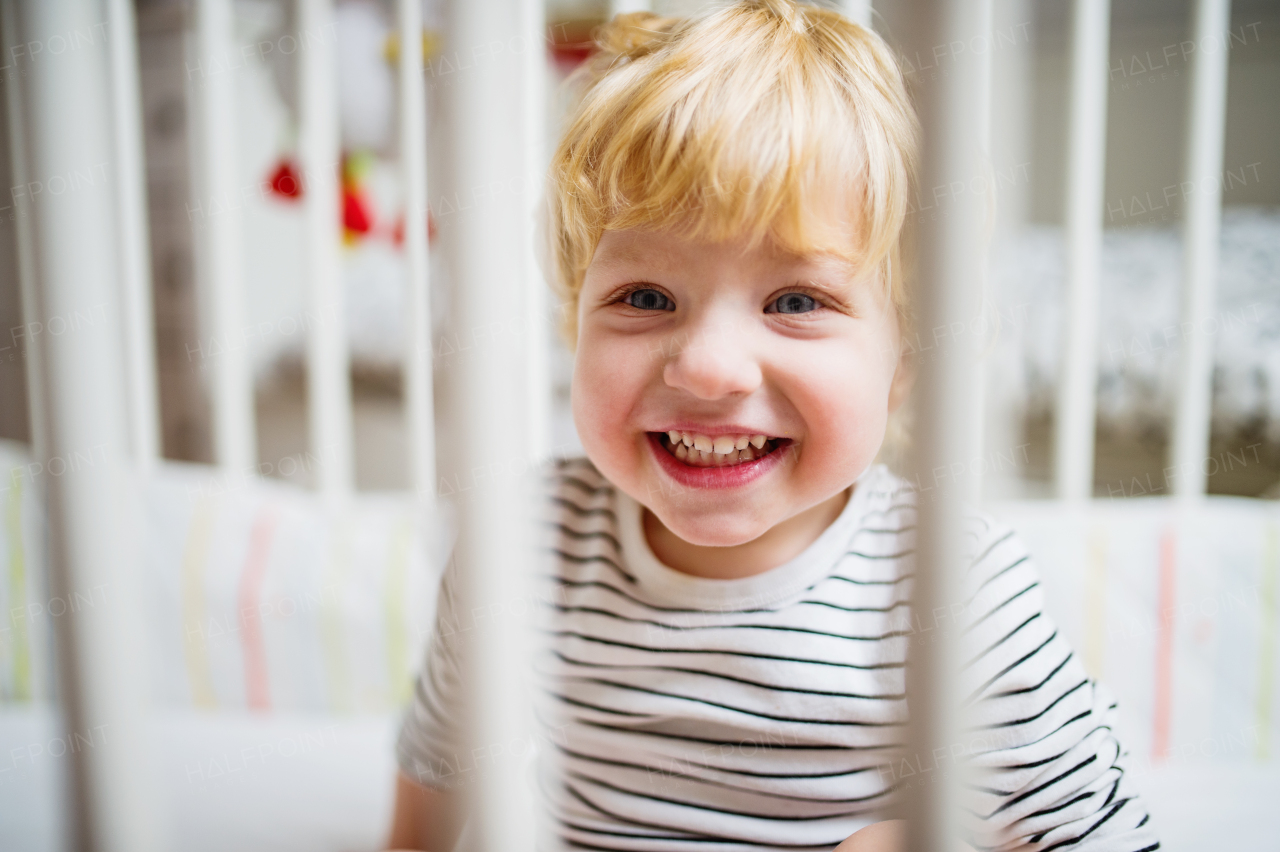 Cute toddler boy in a cot in the bedroom. Close up.