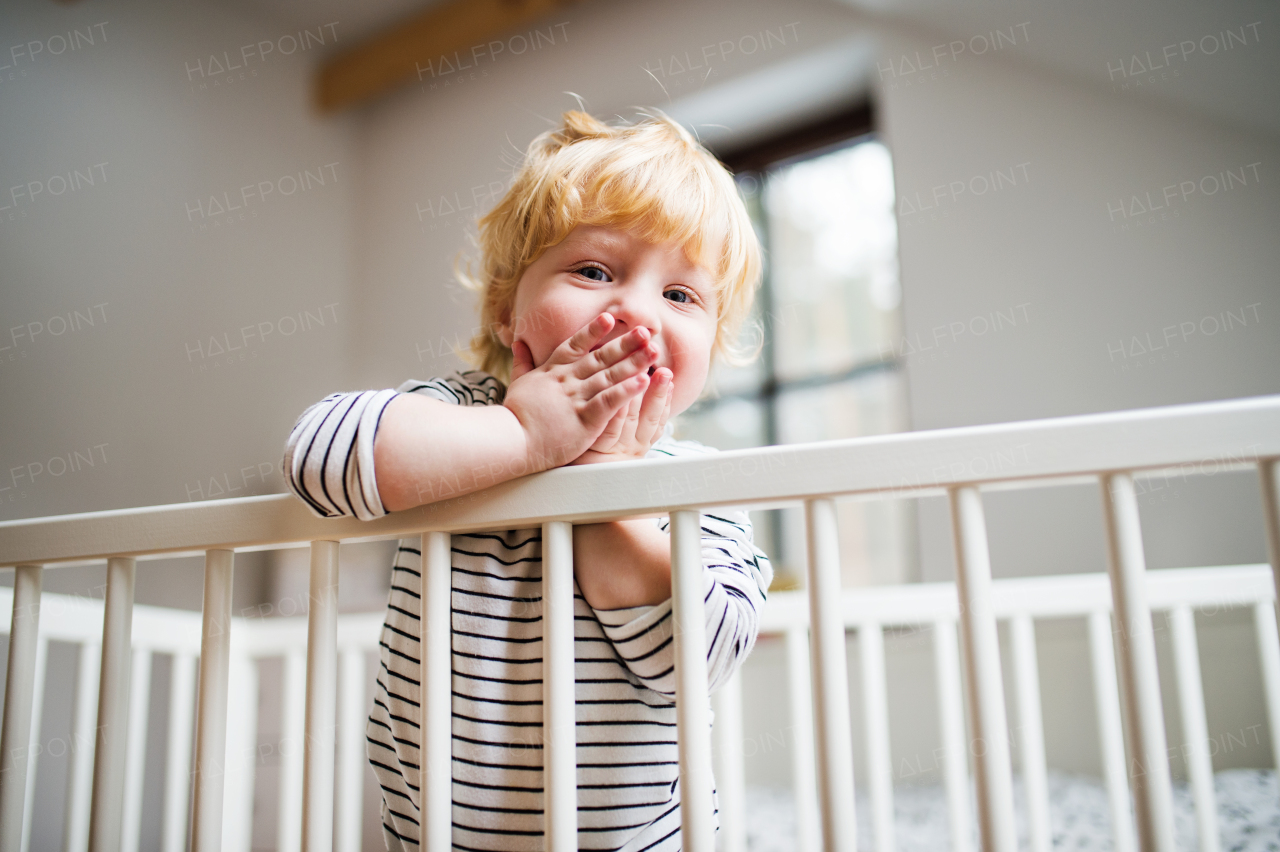 Cute happy toddler boy standing in a cot at home.