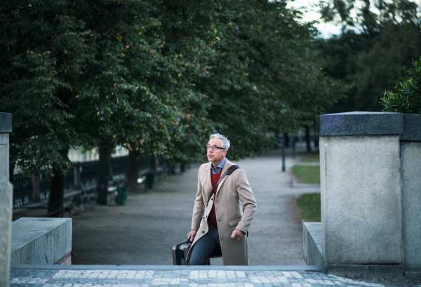 Mature handsome businessman with suitcase walking up the stairs in a park in a city.