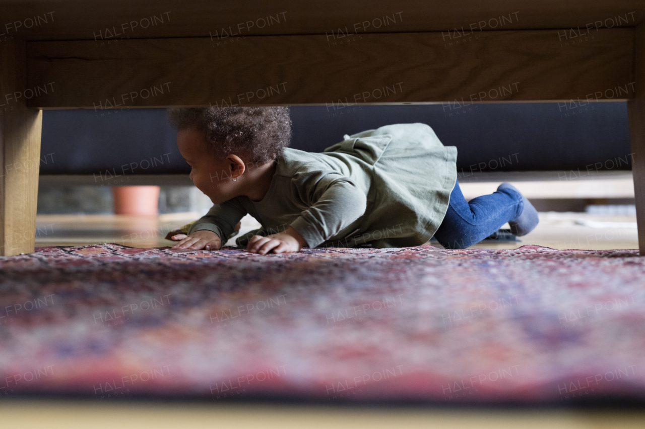 Little girl crawling at home on carpet, having fun.