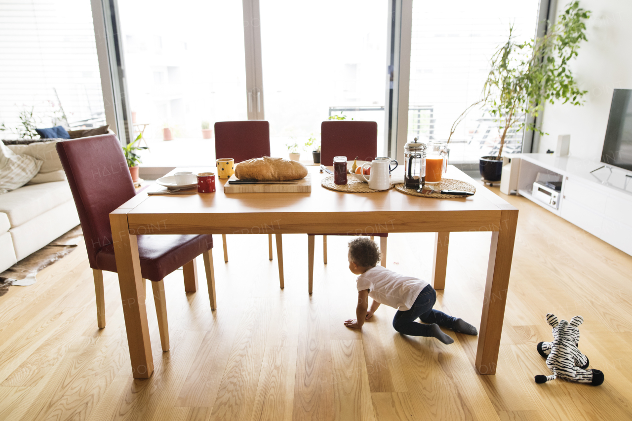 Cute little mixed-race girl with curly hair at home under the kitchen table with breakfast.