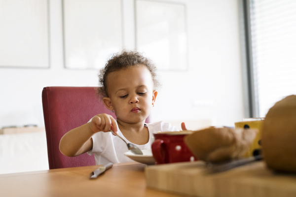 Cute little mixed-race girl with curly hair at home sitting at the kitchen table, having breakfast.