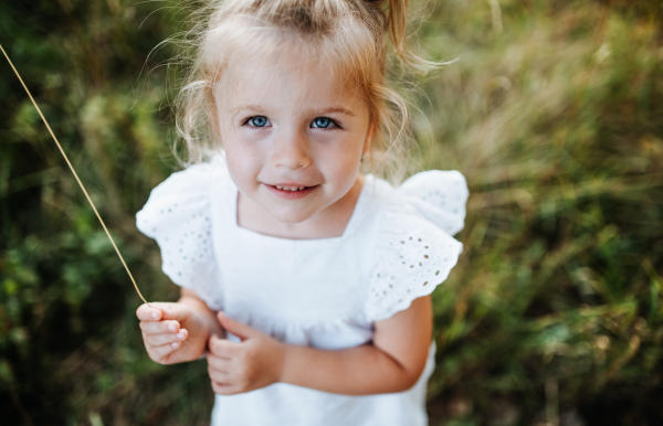 A portrait of cute small girl in sunny summer nature.