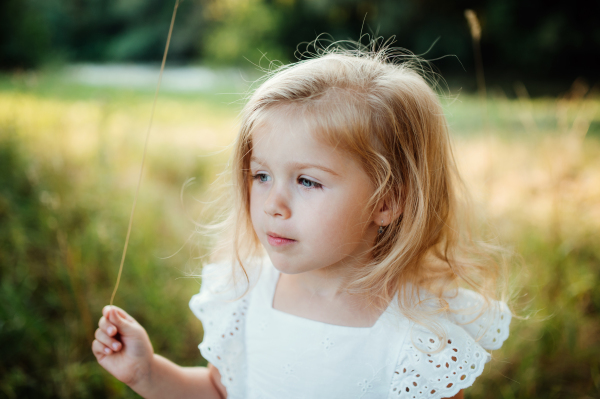 A portrait of cute small girl in sunny summer nature.