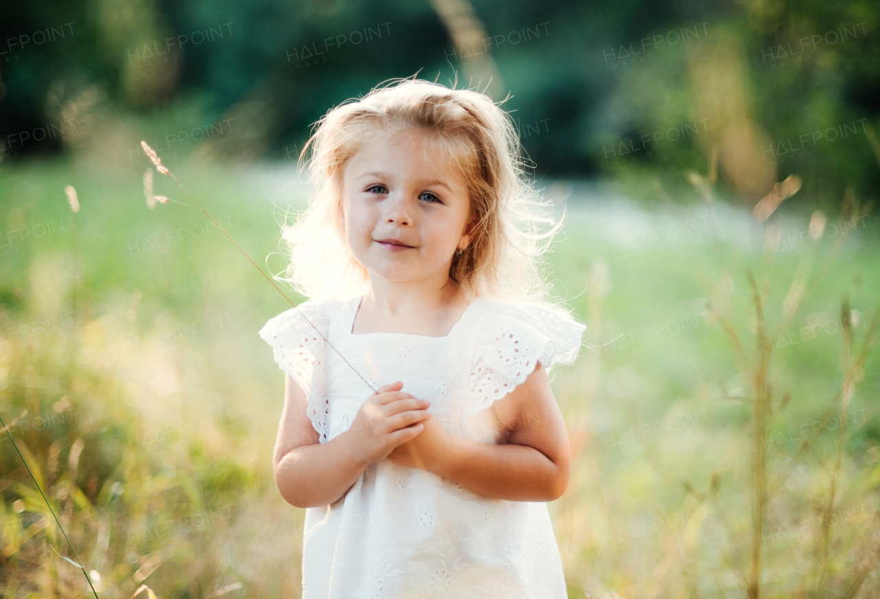 A waist-up portrait of cute small girl in sunny summer nature.