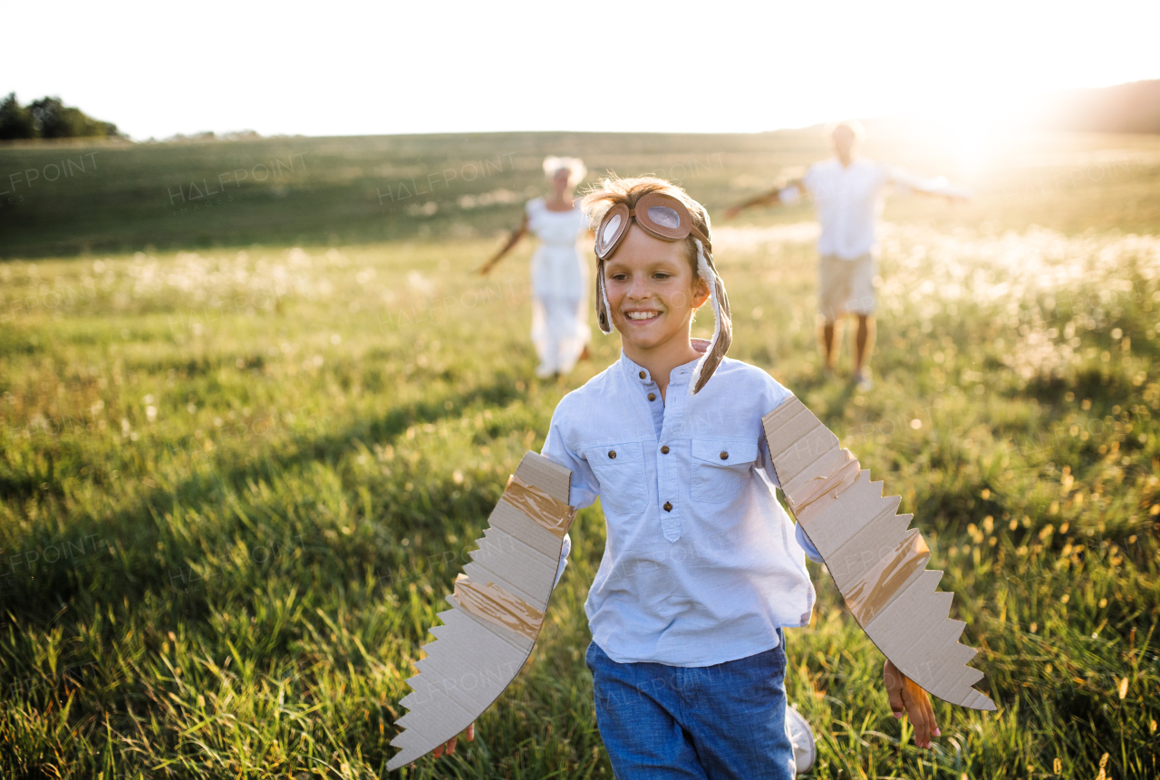 A young family with small children playing on a meadow in nature at sunset.