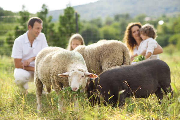 Family in summer nature.