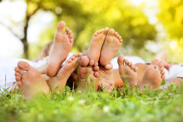 Families in summer nature.