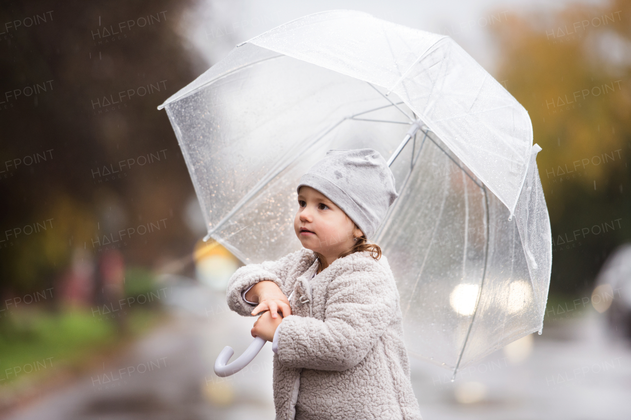 Cute little girl under the transparent umbrella in town on a rainy day.